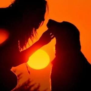 Meet your Posher, Irene